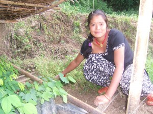 Mr. Diamond's daughter with her nursery, in Kaule, Nepal.