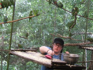 Cleaning the bird cages at ARCAS. Guatemala