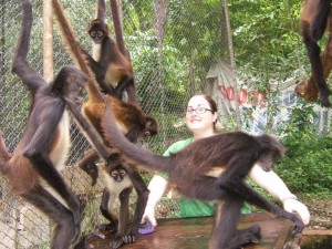 Crystal cleaning one of the spider monkey cages at ARCAS. Guatemala.