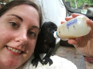 Crystal bottle feeding an abandoned howler monkey at ARCAS. Guatemala.