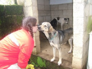 Crystal with a shelter dog at AWARE. Guatemala.