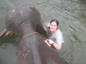Crystal scrubbing off Moey, one of the new elephants while volunteering with elephants.